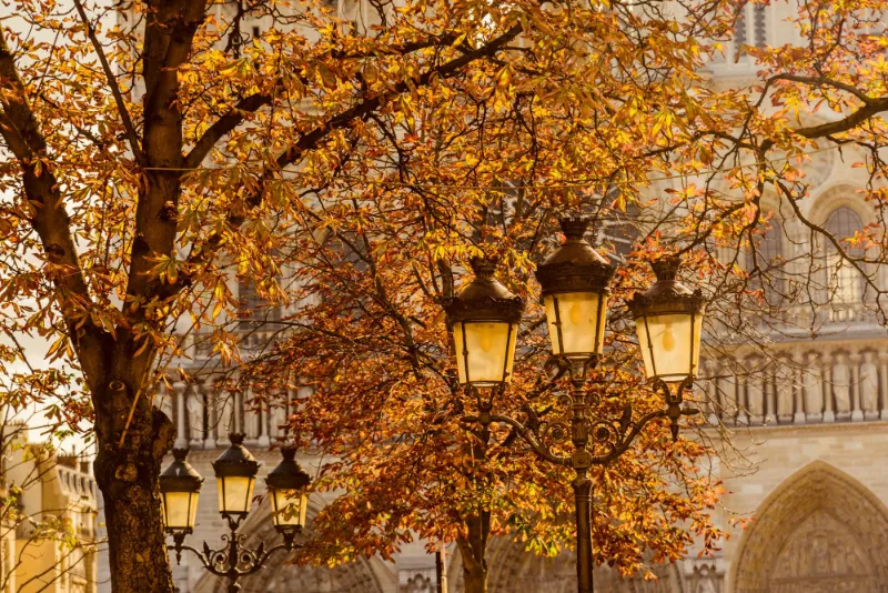 Discover the charm of Paris in autumn with a personalized photoshoot. Capture vibrant fall colors and iconic spots, creating timeless memories of your trip.