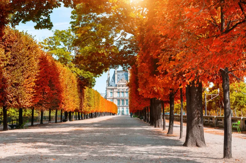 Discover the charm of Paris in autumn with a personalized photoshoot. Capture vibrant fall colors and iconic spots, creating timeless memories of your trip.